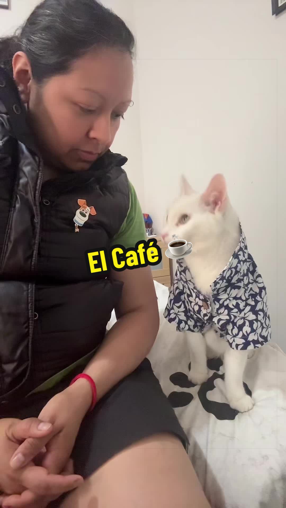 @🦖 MEOWassic CAT😺