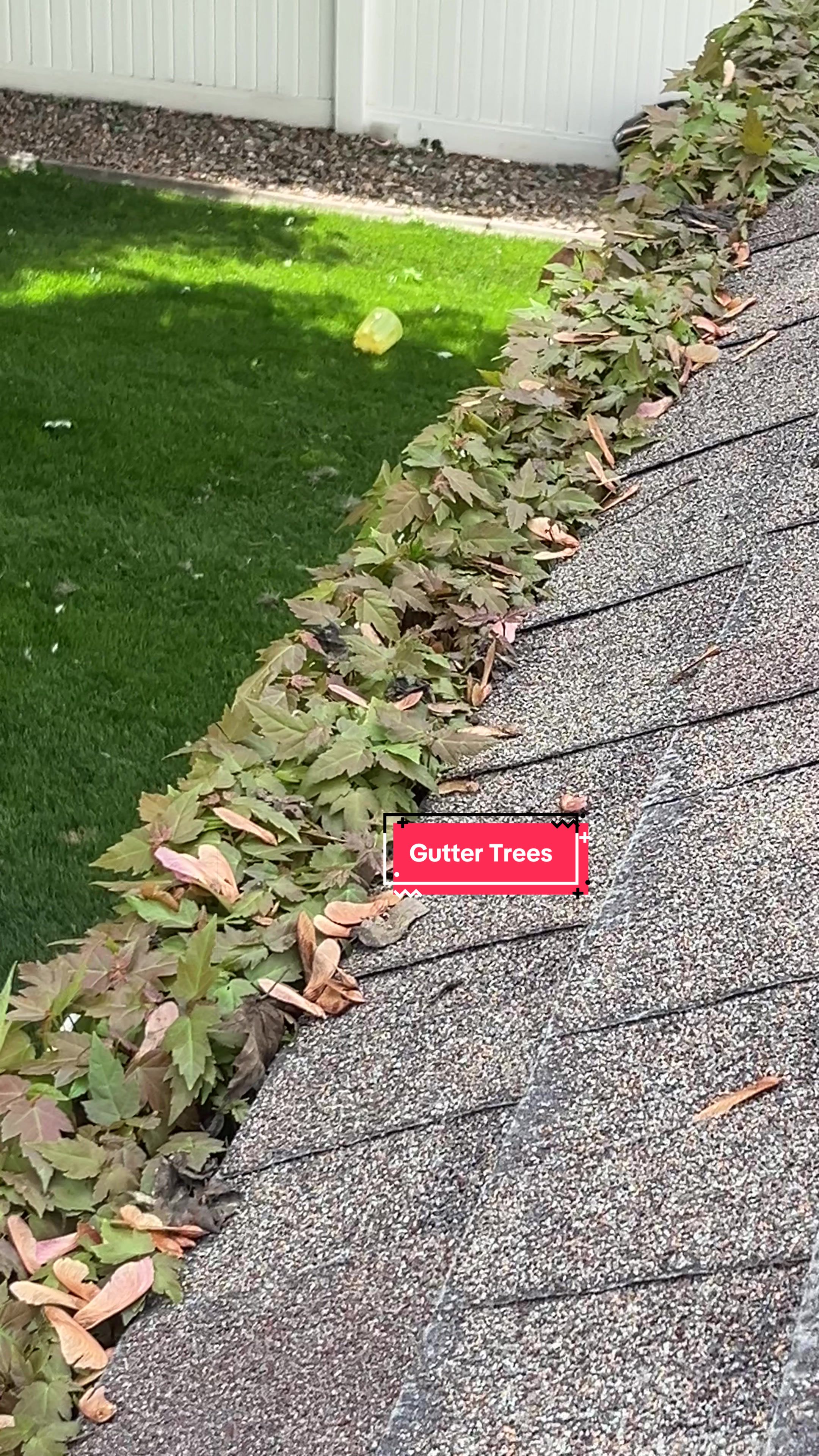 @Lawngest&ensp;Yard