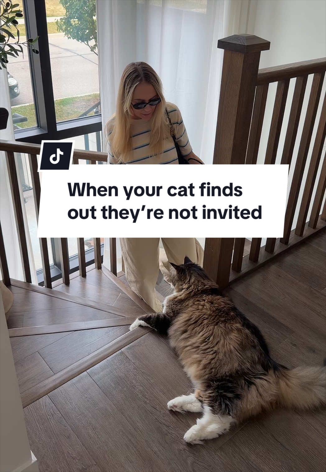 @Tuft & Paw