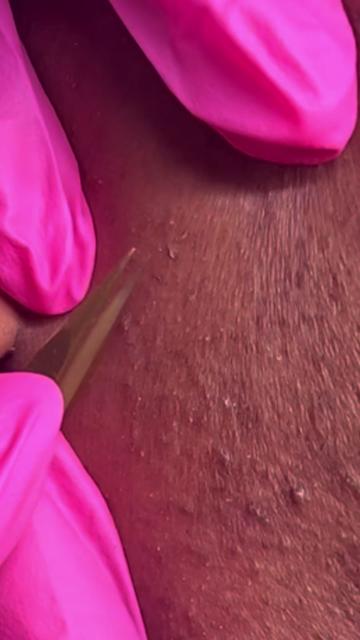@erinthegirliewaxer