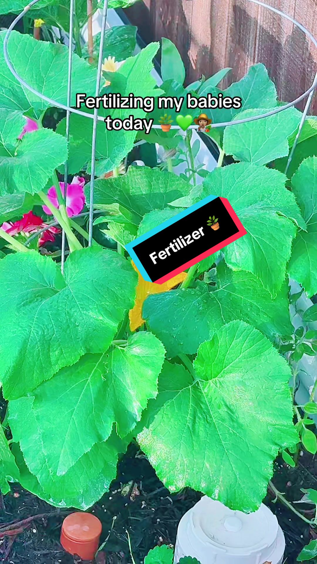 @TeeTee ❌♋️🦀