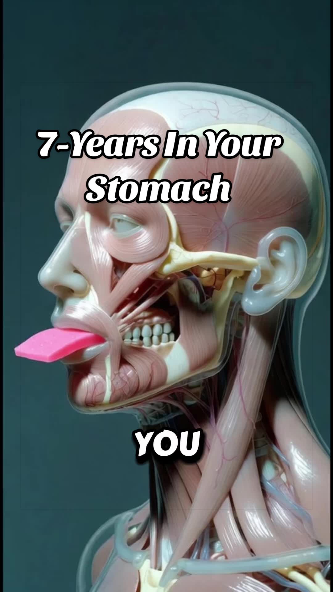 @Yourbodyspeak