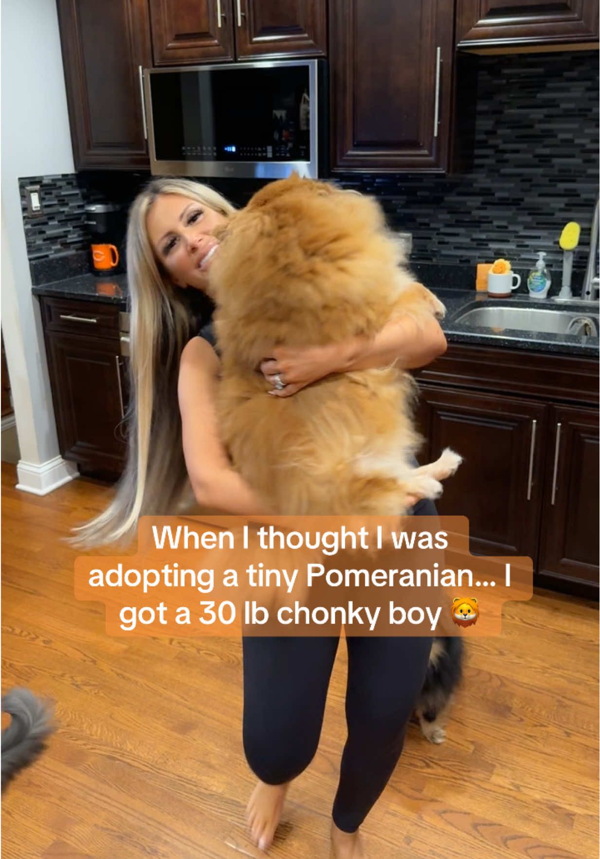 @Stachias•World👸🏼🐈🐕🦺♥️🐾