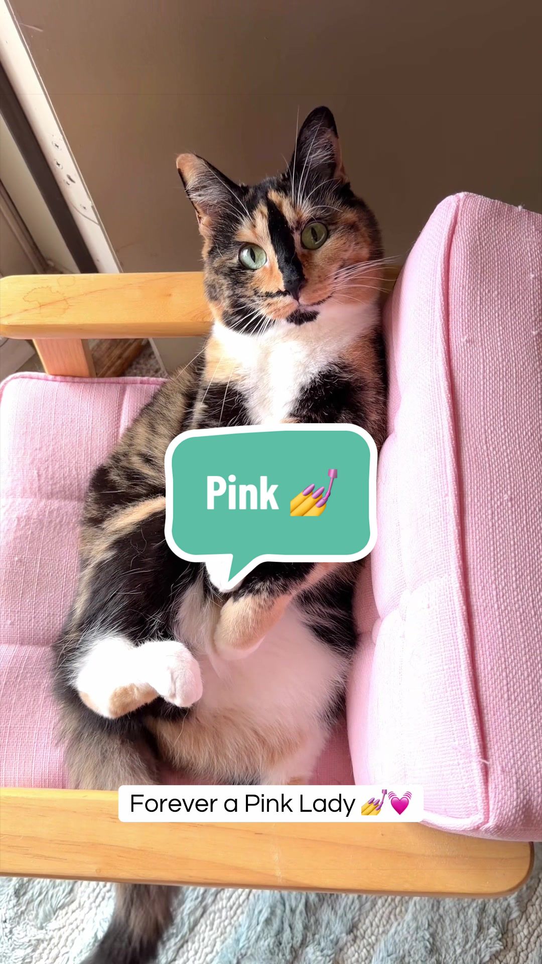 @SnickersTheSmilingCat