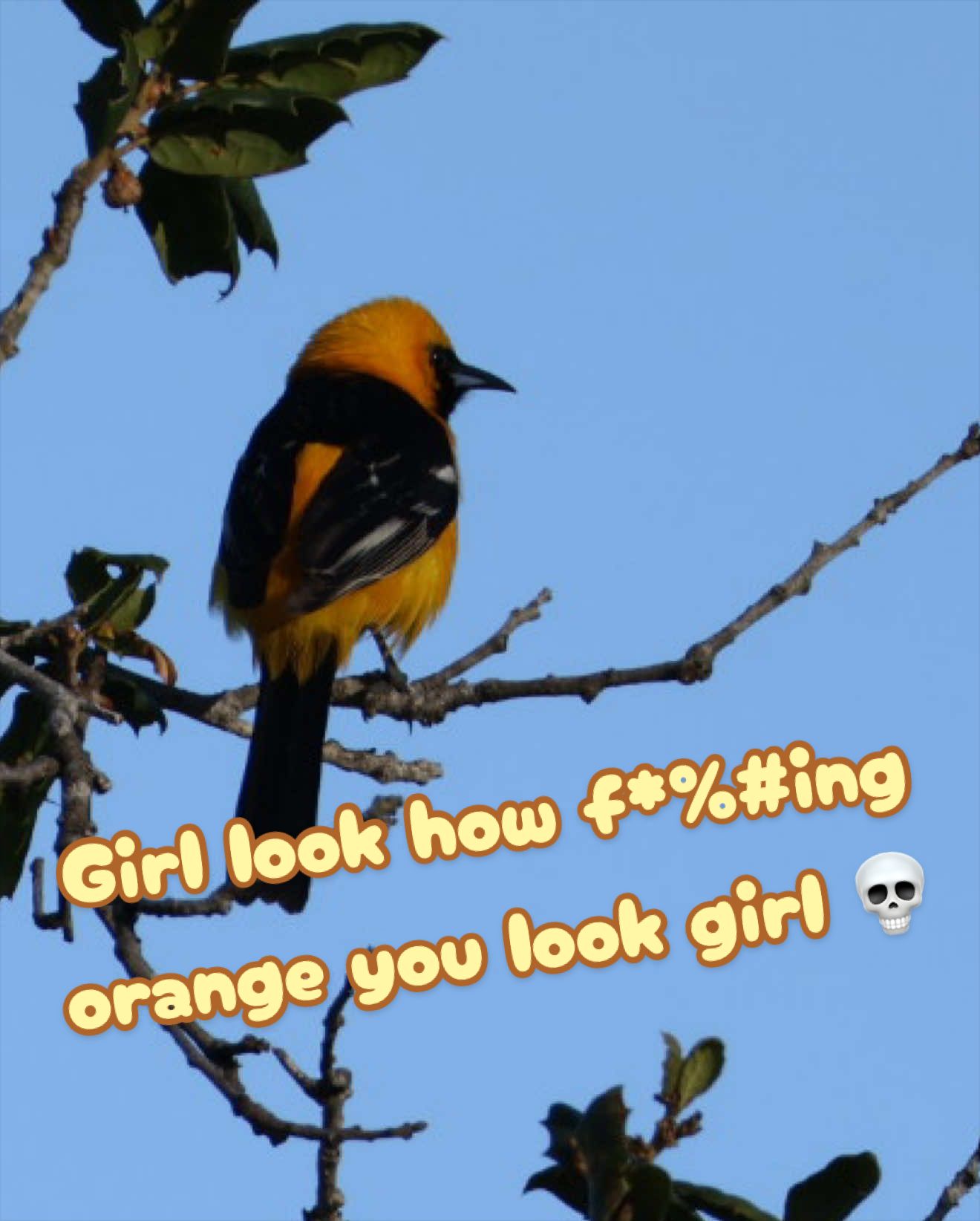 @Danielle McMillen