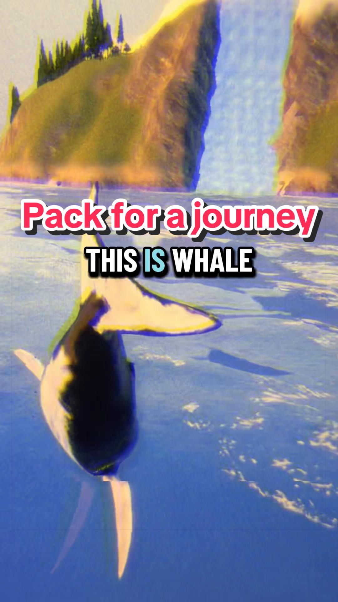 @WhalePack.game