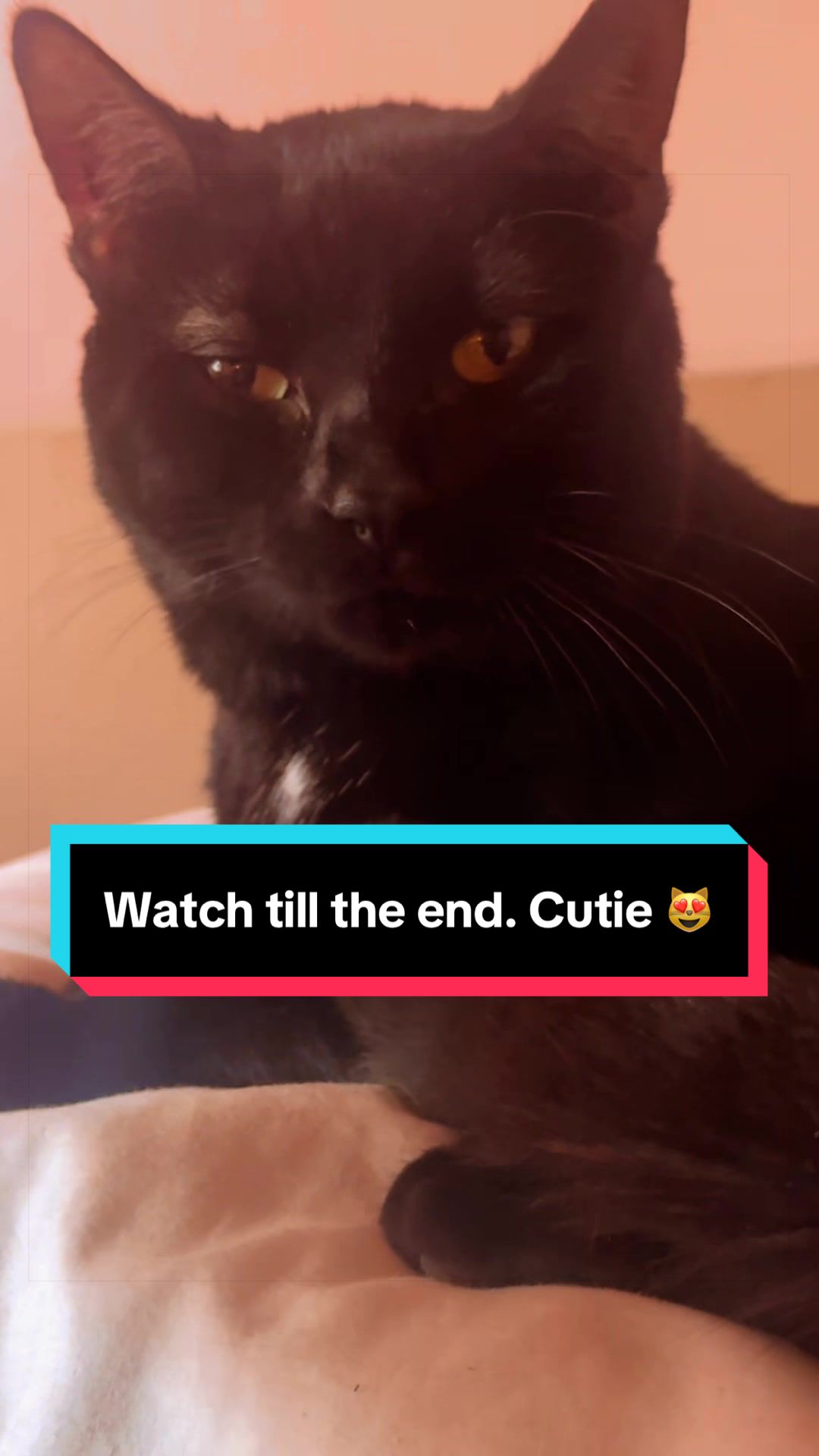 @Jackie ๐