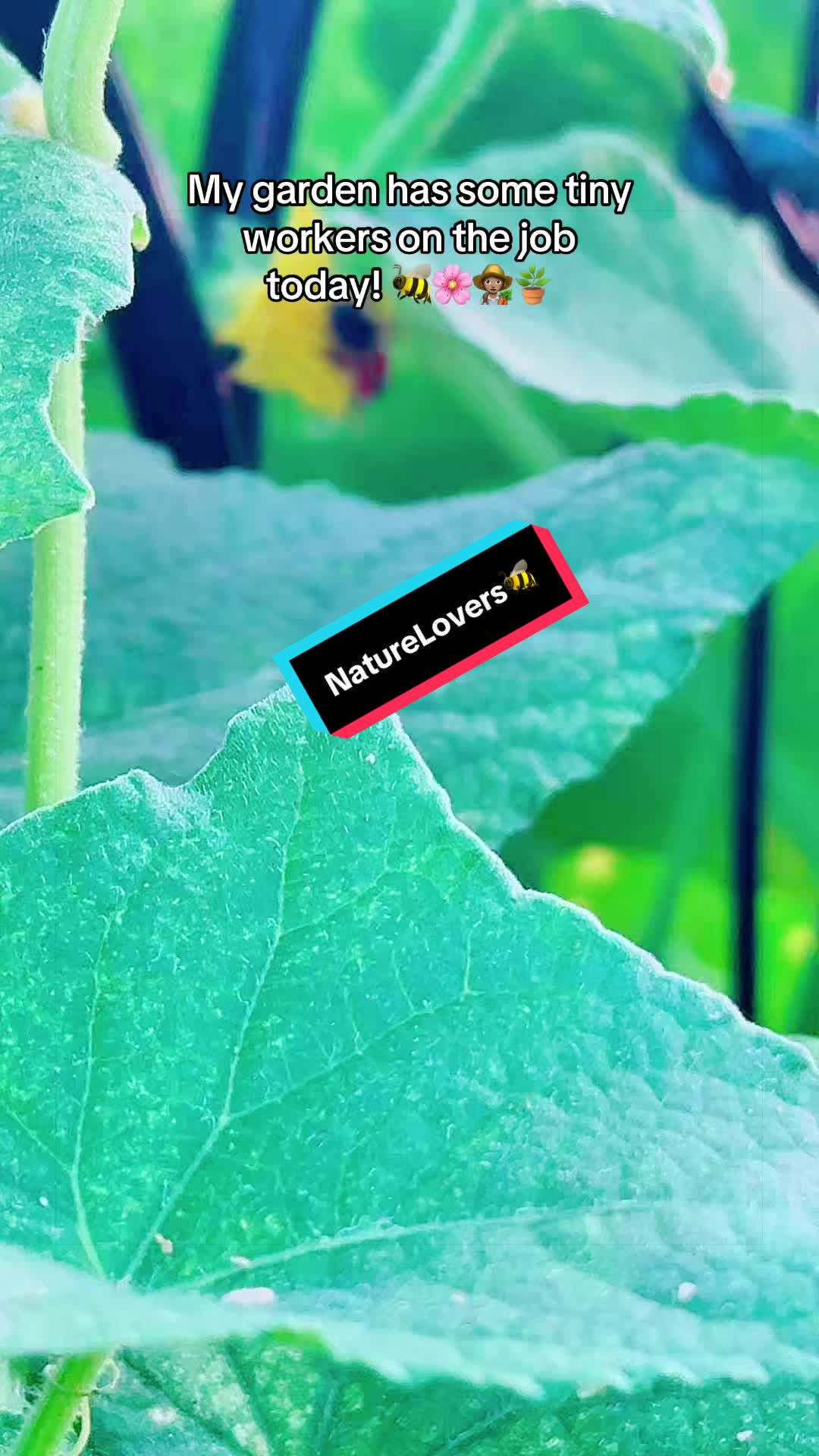@TeeTee ❌♋️🦀