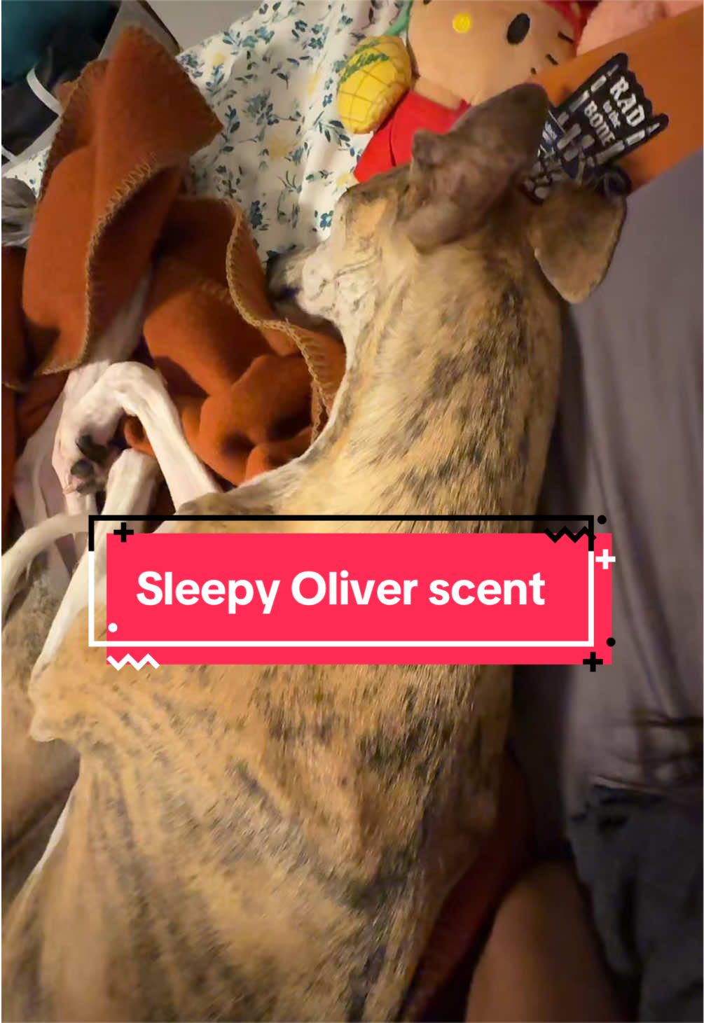 @sirolivercromwell