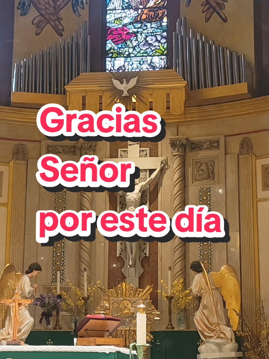 @FeSinFiltros