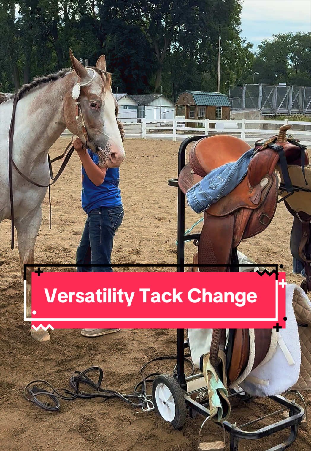 @yourhorseandponyleader