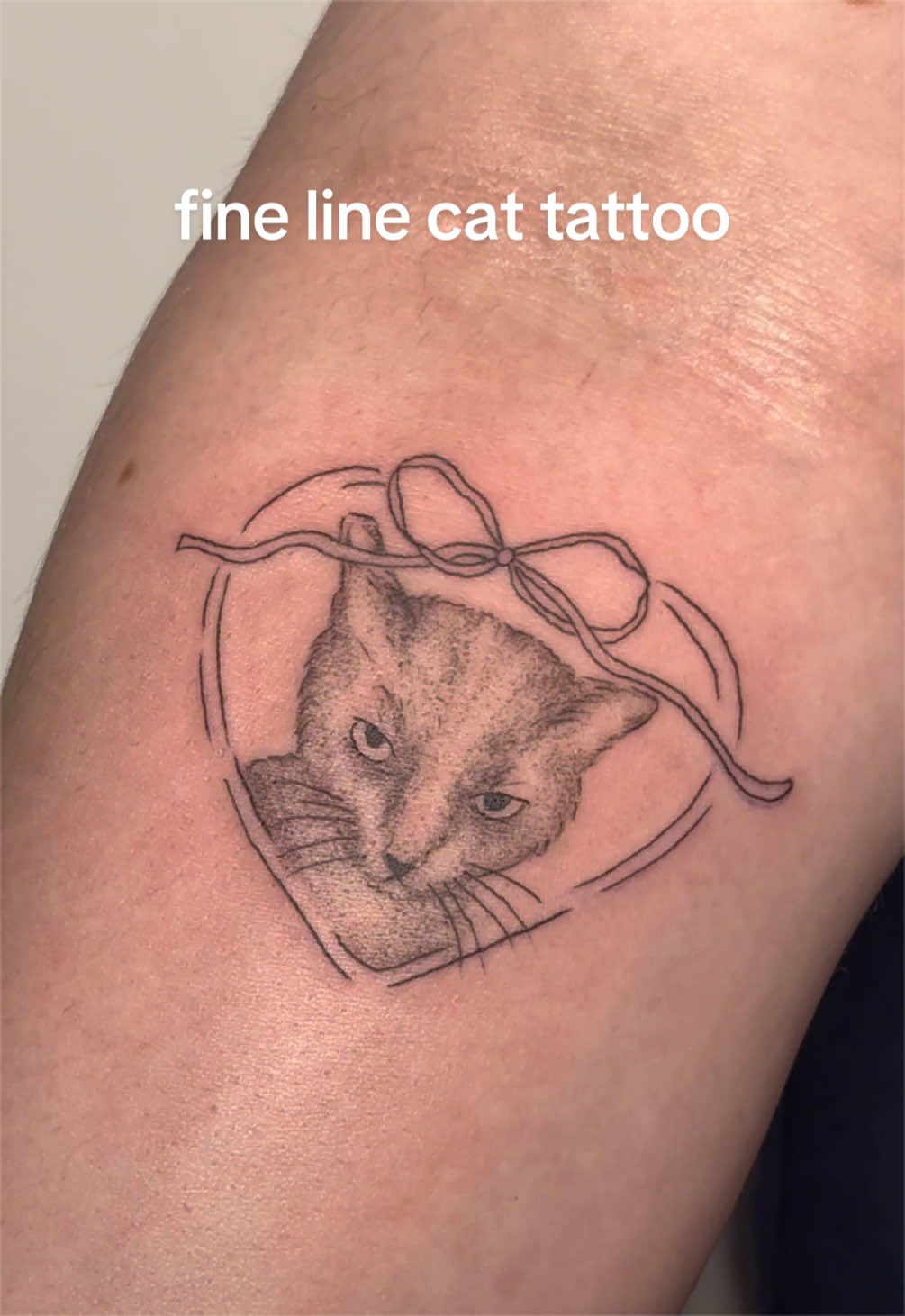 @@pinstripetattoos