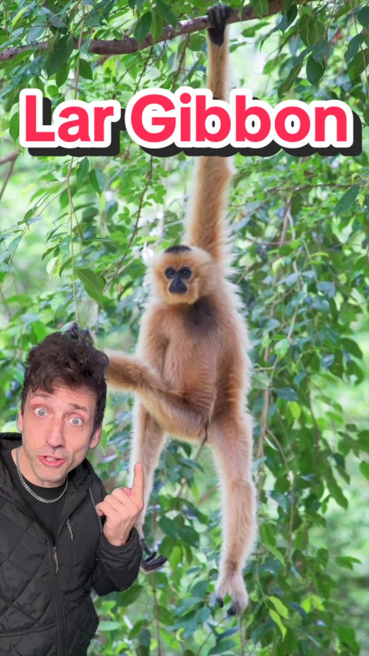 @Odd Danny