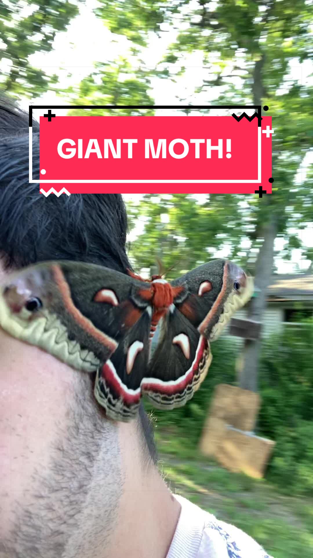 @DoctorBugz