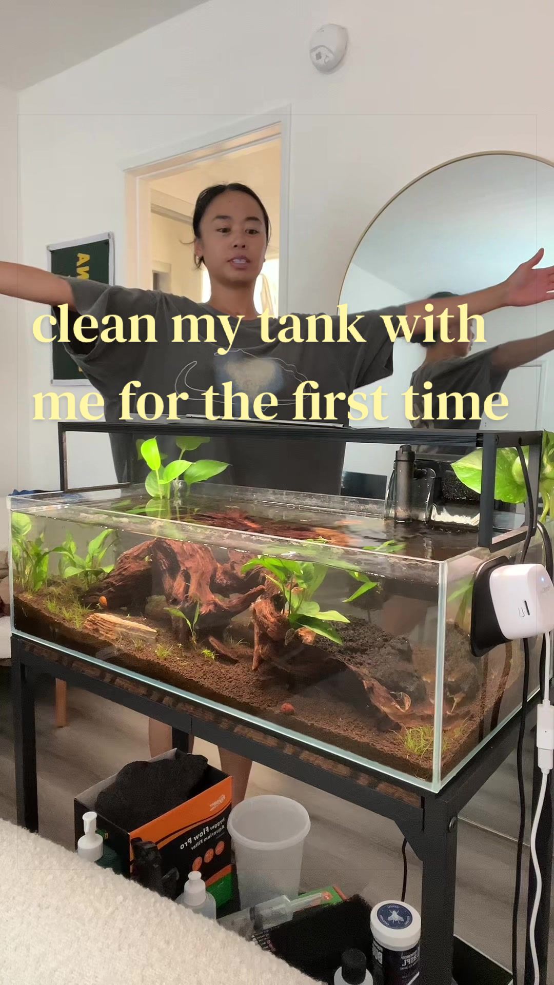 @chooks