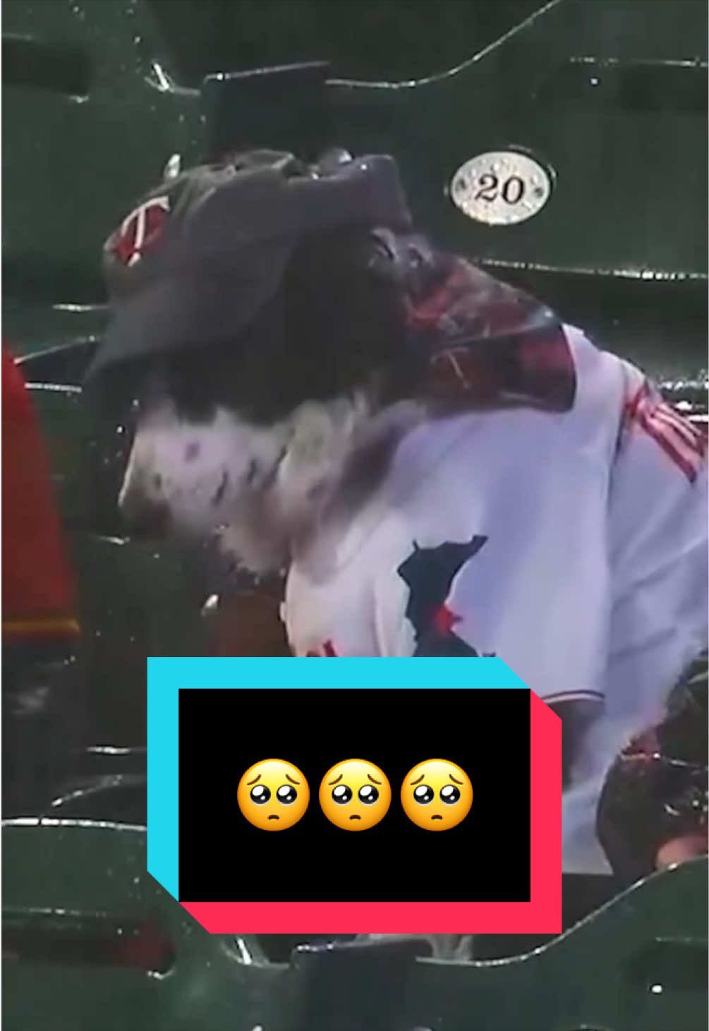@MLB