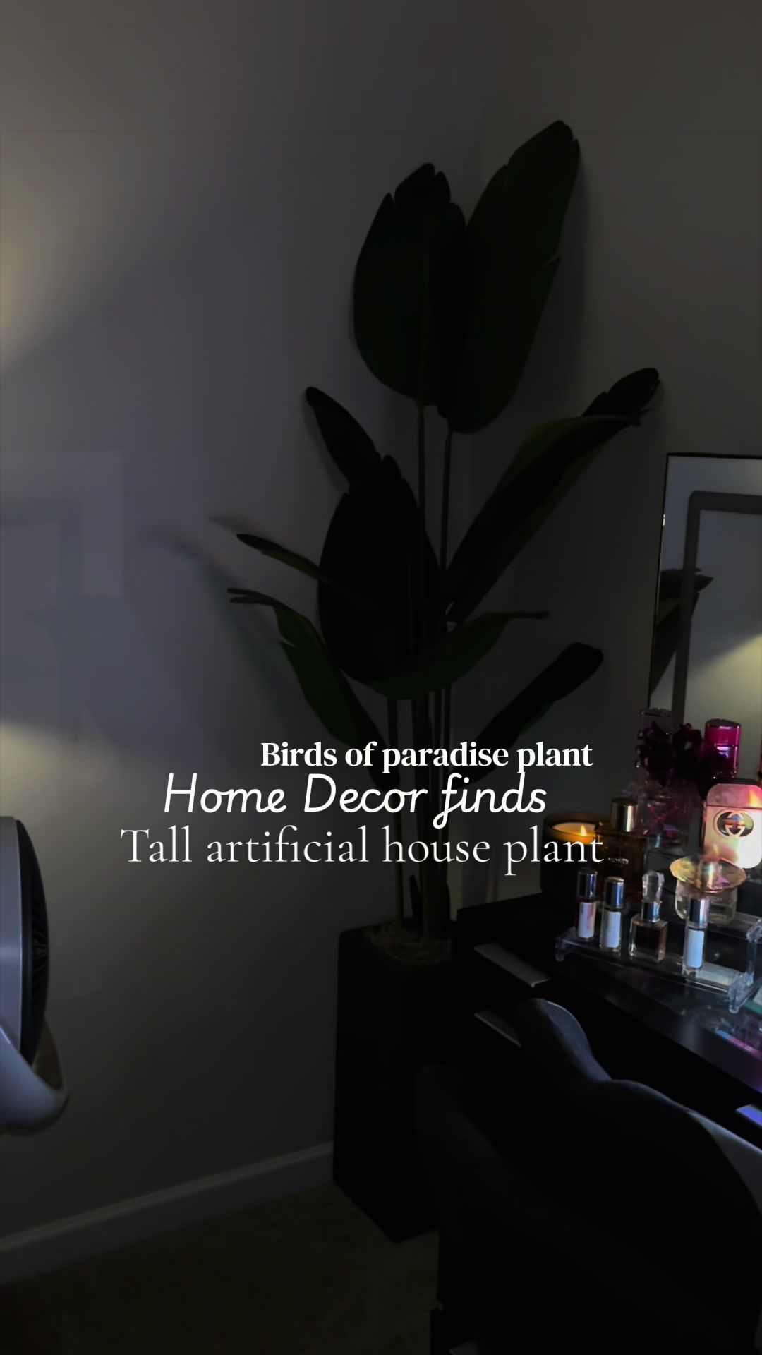 @Coiya | HOME | LIFESTYLE | TTS