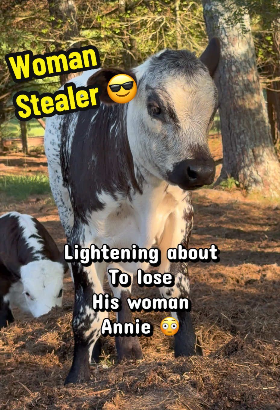 @Georgia Farm Girl