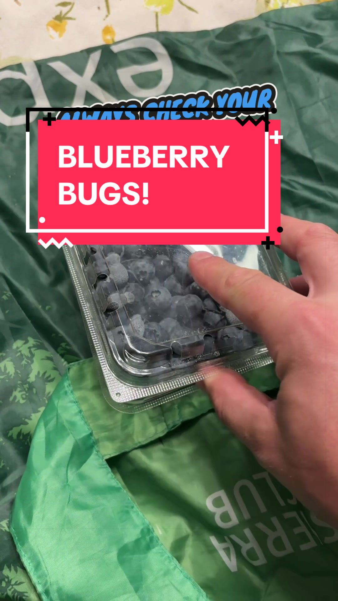 @DoctorBugz