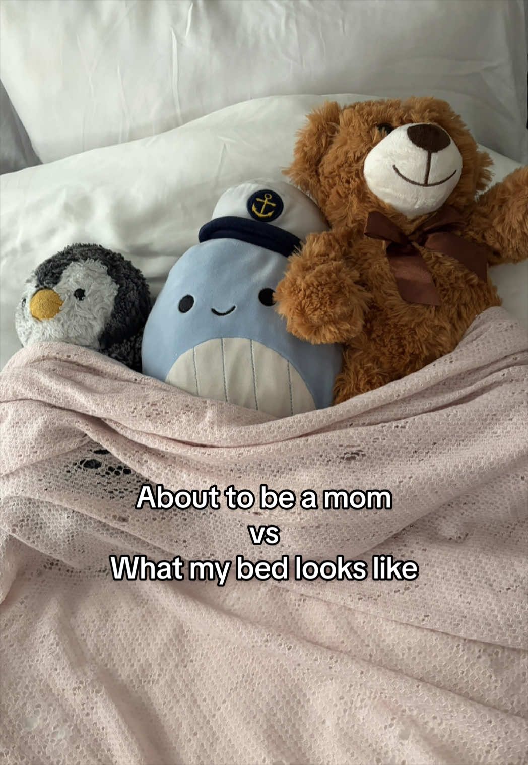 @Nikki Cooper 🫶🏻
