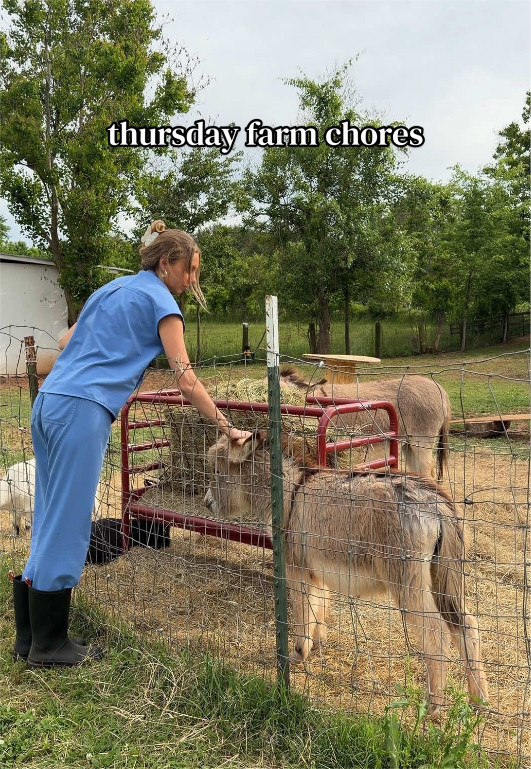@meg’s mini farm