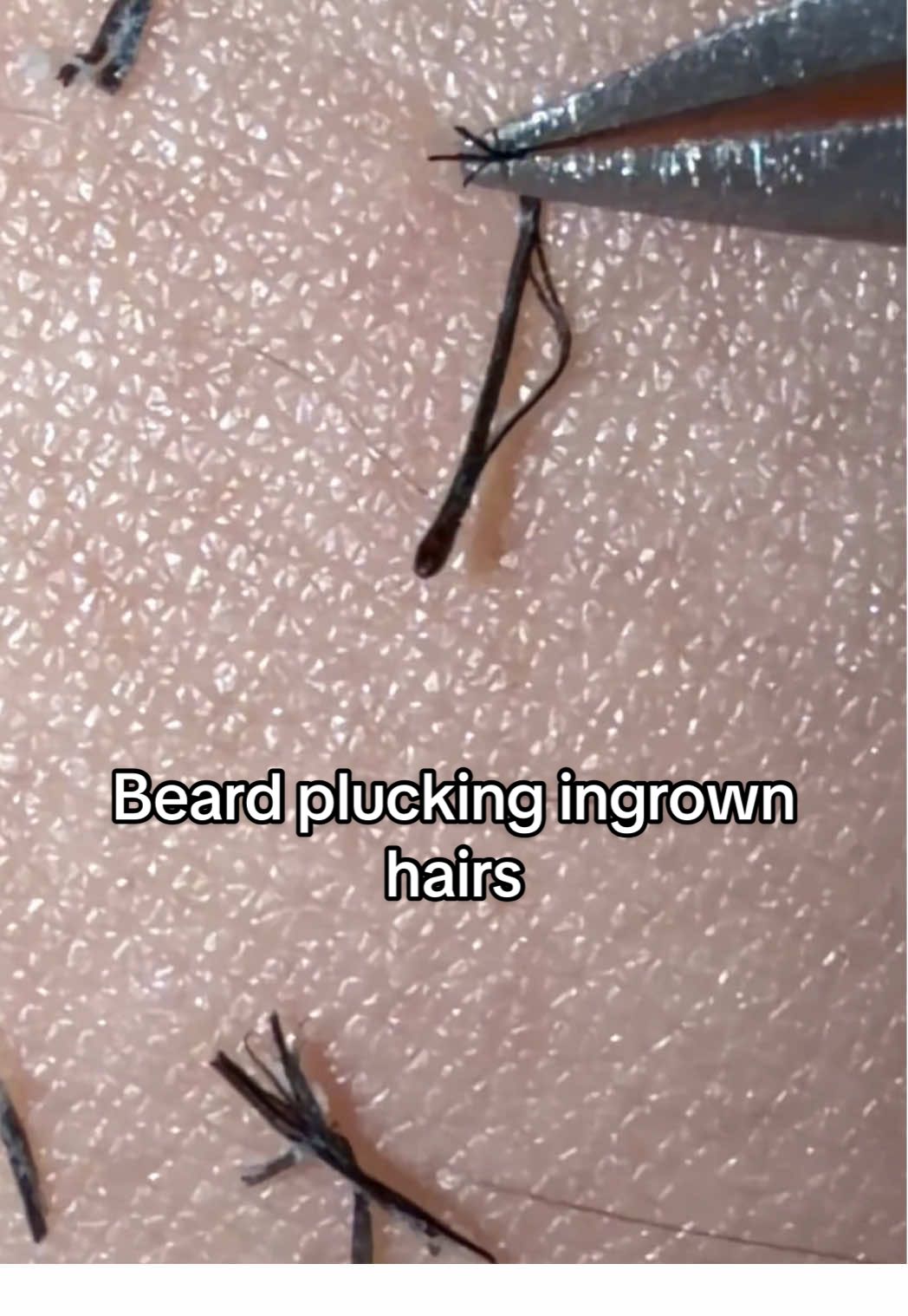 @GroomingMyGrizzly