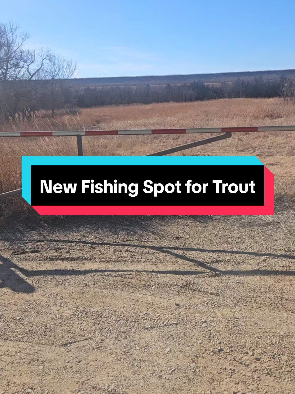 @Joel-O Shotz Fish Bait