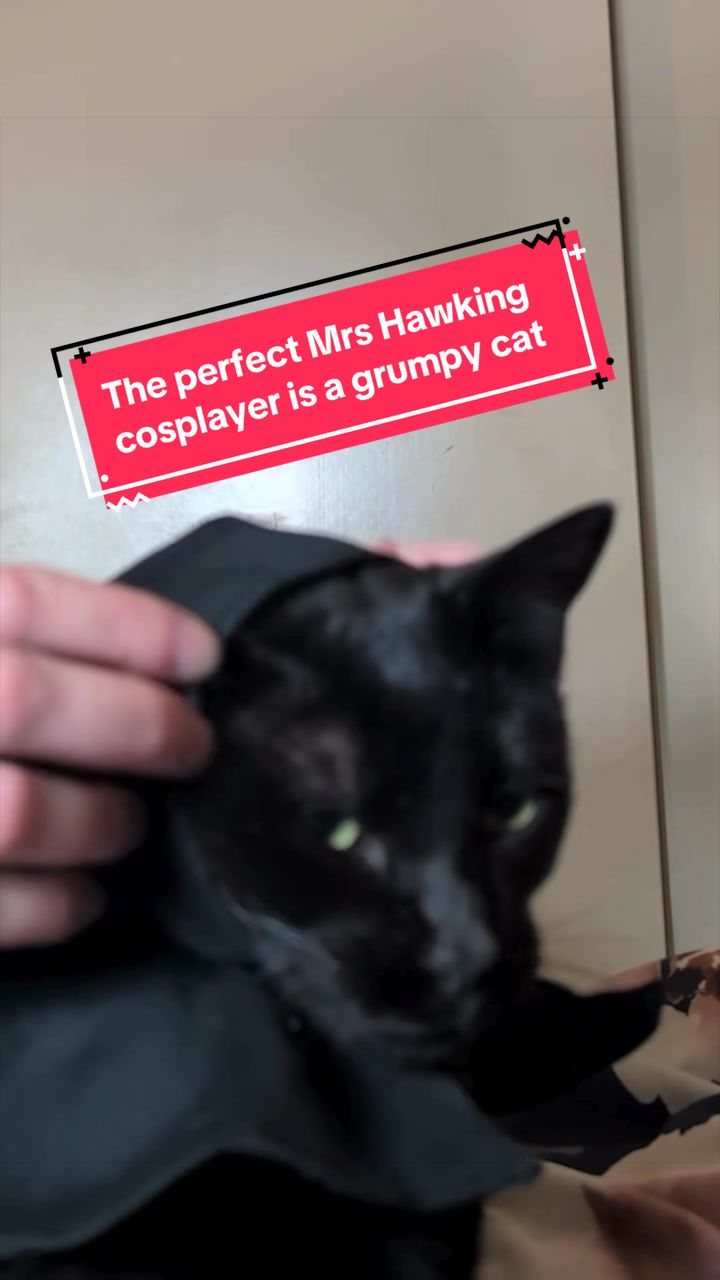 @Breaking Light Productions