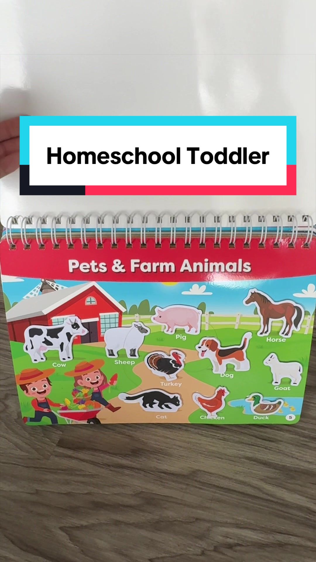 @DANA&bull; MOM + HOME HACKS