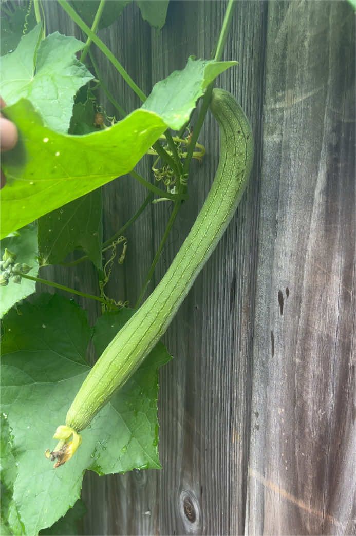 @Gardening4ME