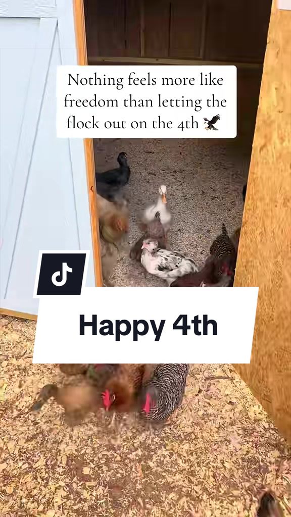 @Bandrhomestead