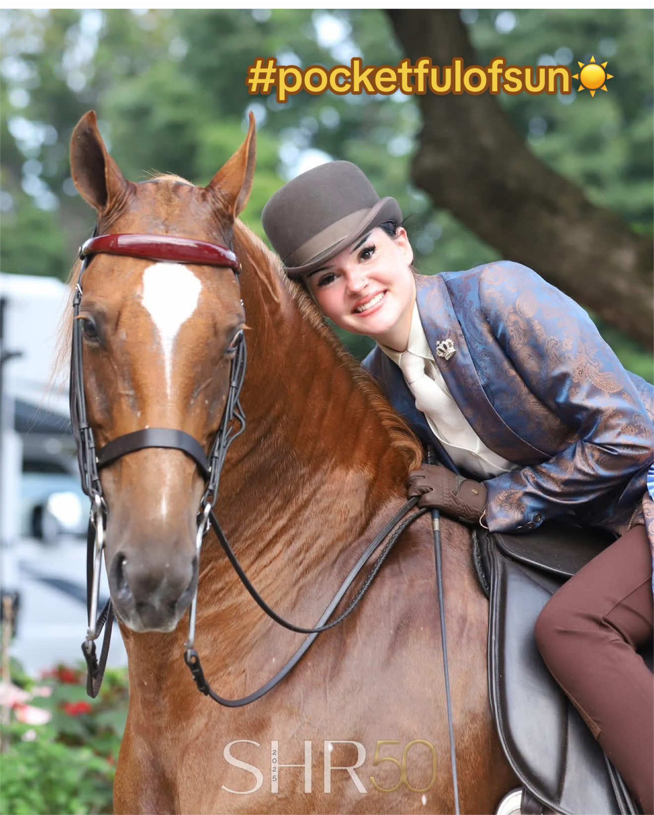 @Seraphim&ensp;Stables