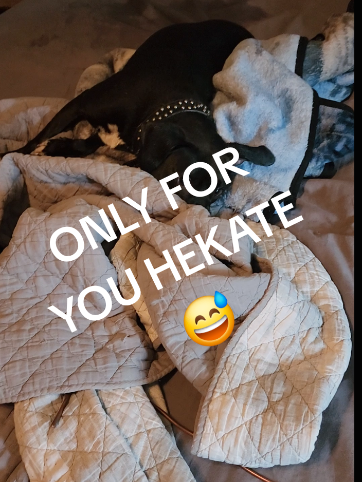 @Goddess Divine Chaos