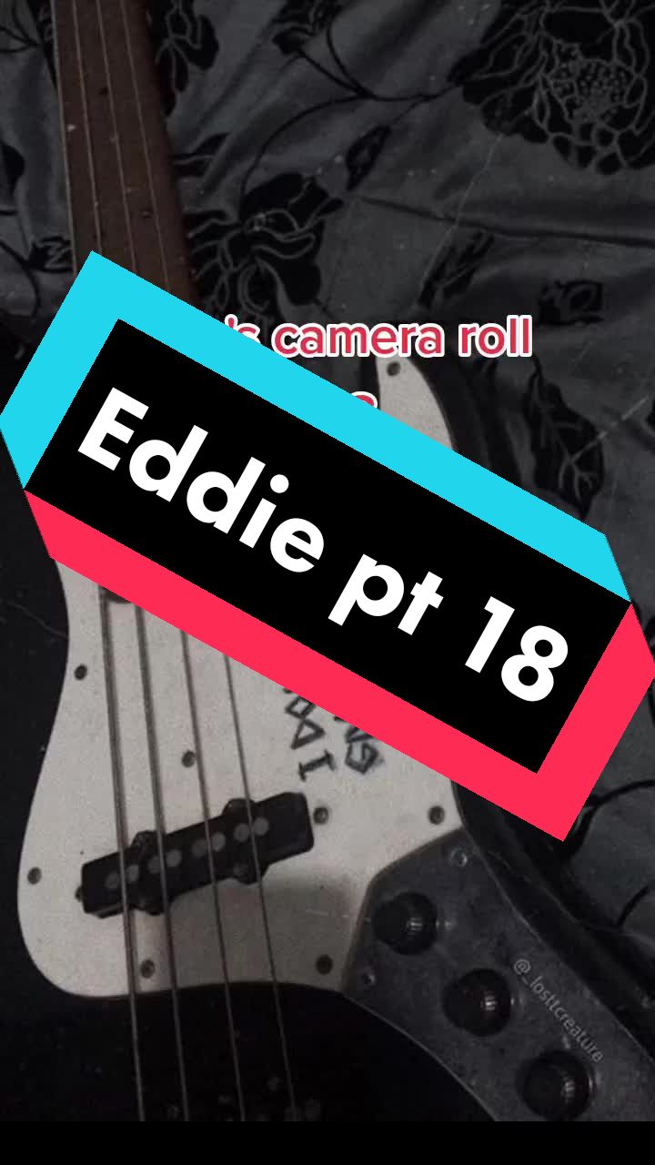 @steddiecamerarolls