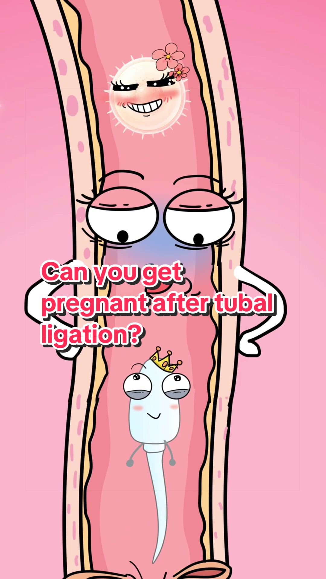 @Funny Animations