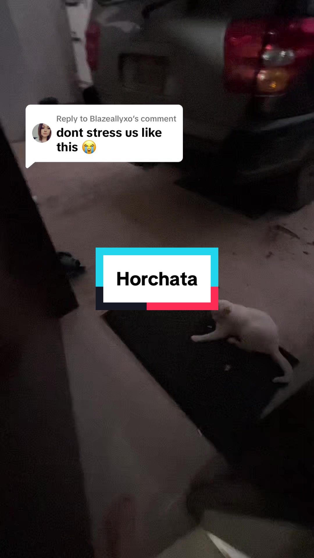 @Ashlee Saurus | Hot Mess Mom🤍
