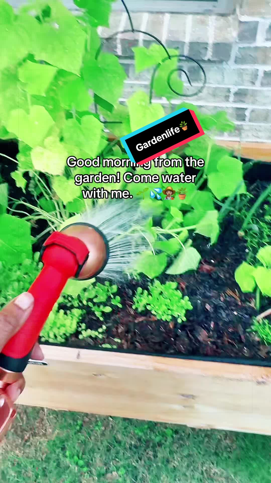 @TeeTee ❌♋️🦀