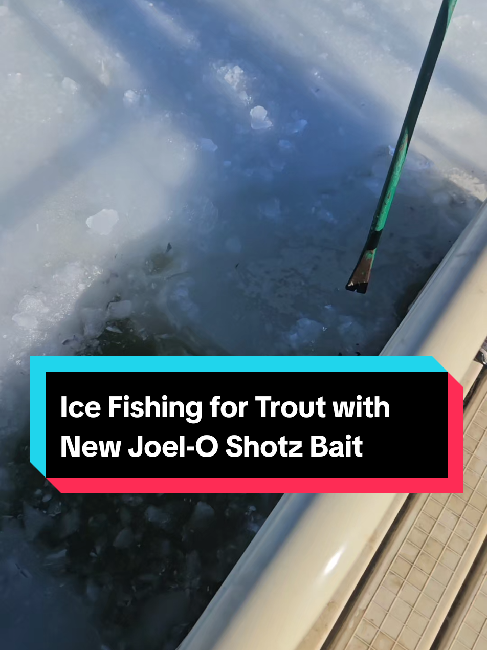 @Joel-O Shotz Fish Bait