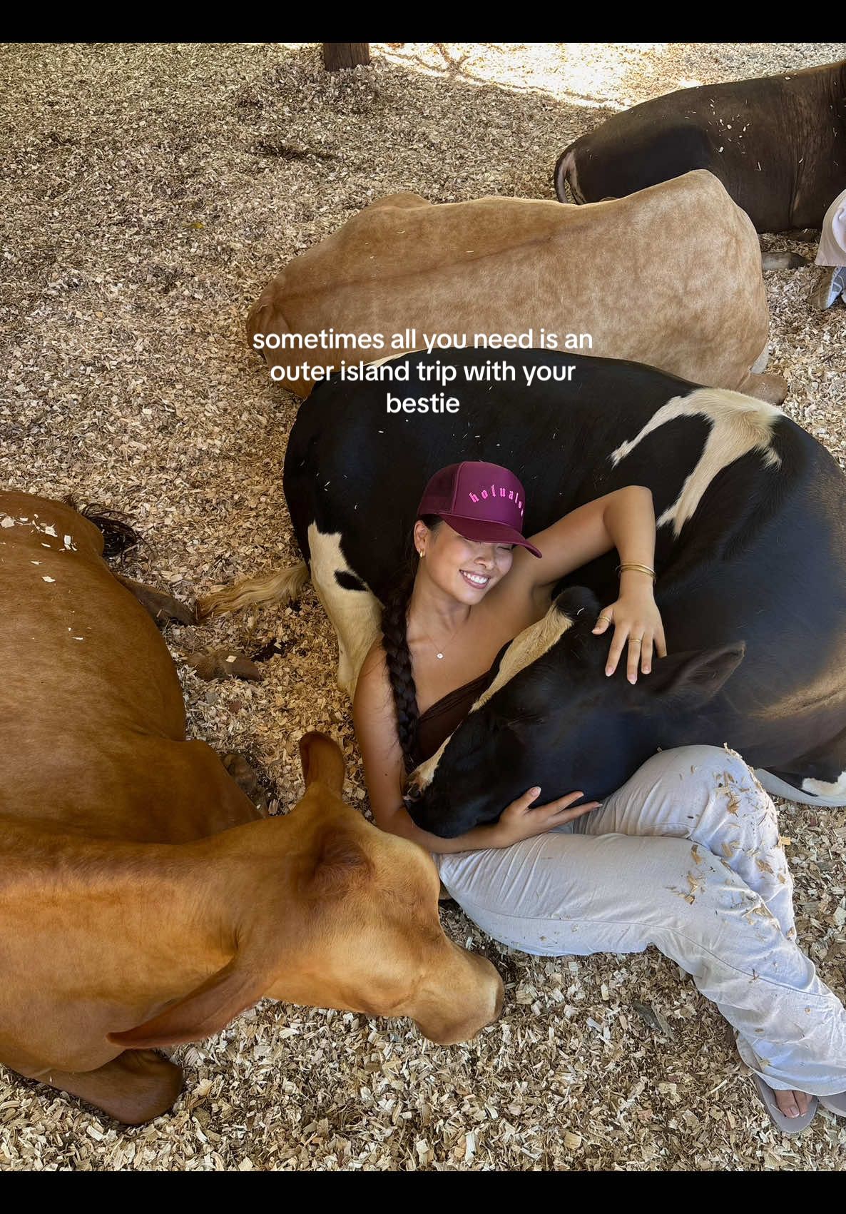 @🥭