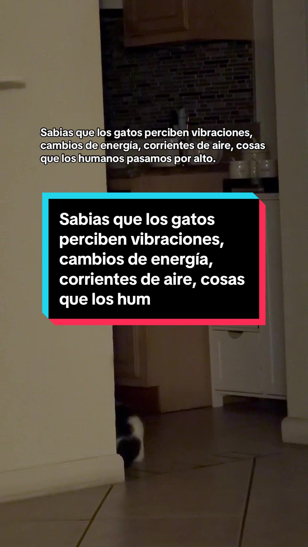 @historiasdelterrorymiedo