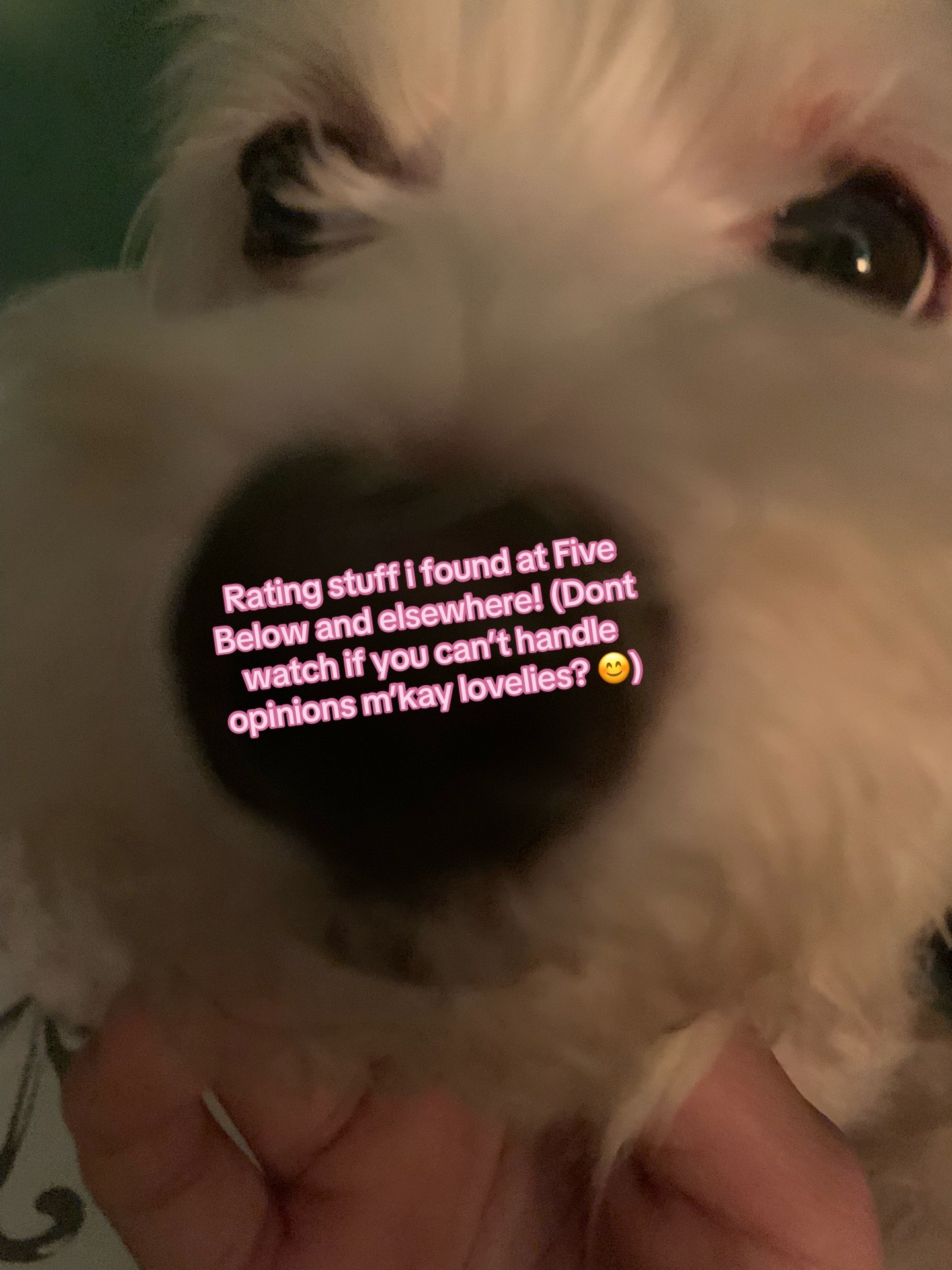 @≽^• ˕ • ྀི≼ 𝚓𝚓⋆˚𝜗𝜚˚⋆𐙚