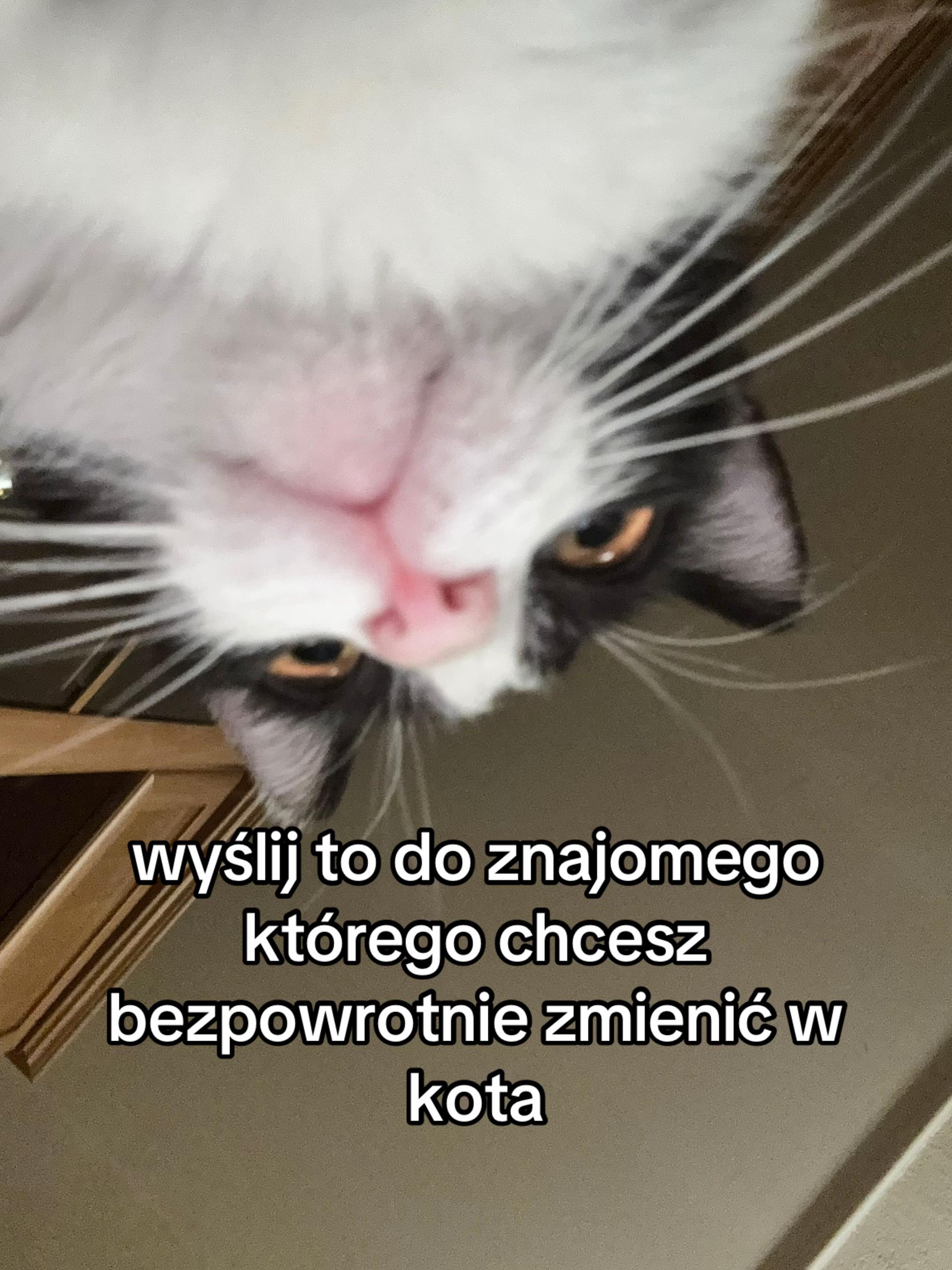 @buba