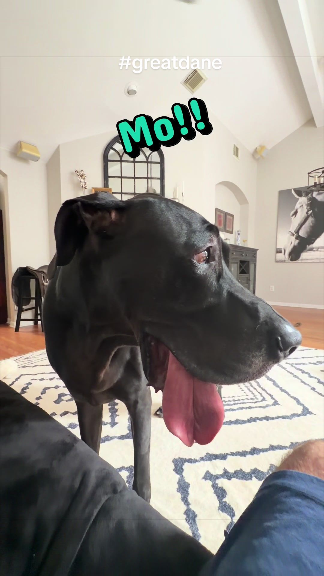@Mo