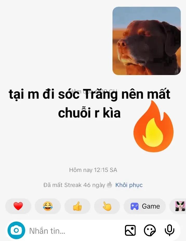@guest kaito