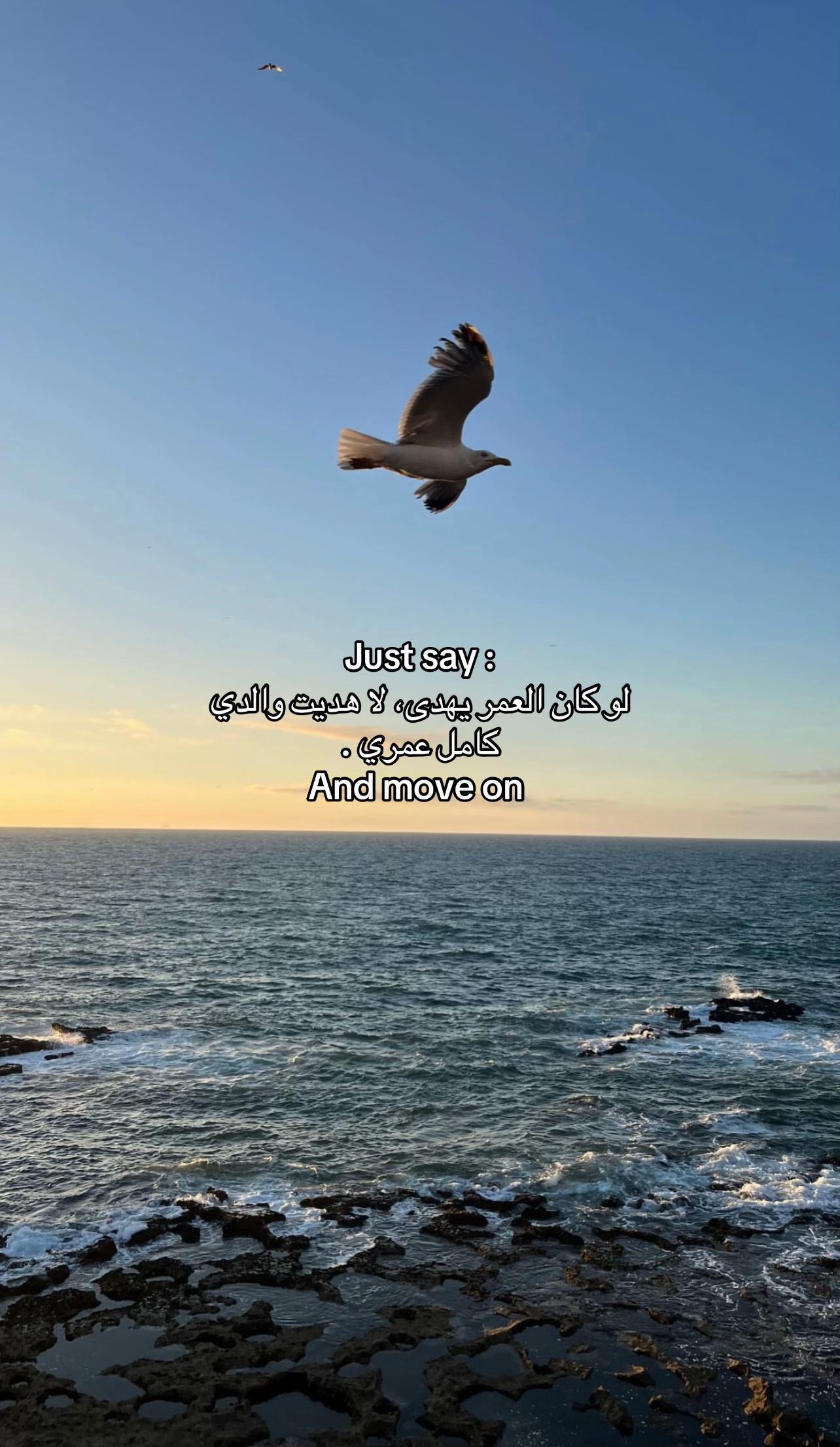 @hicham_he1
