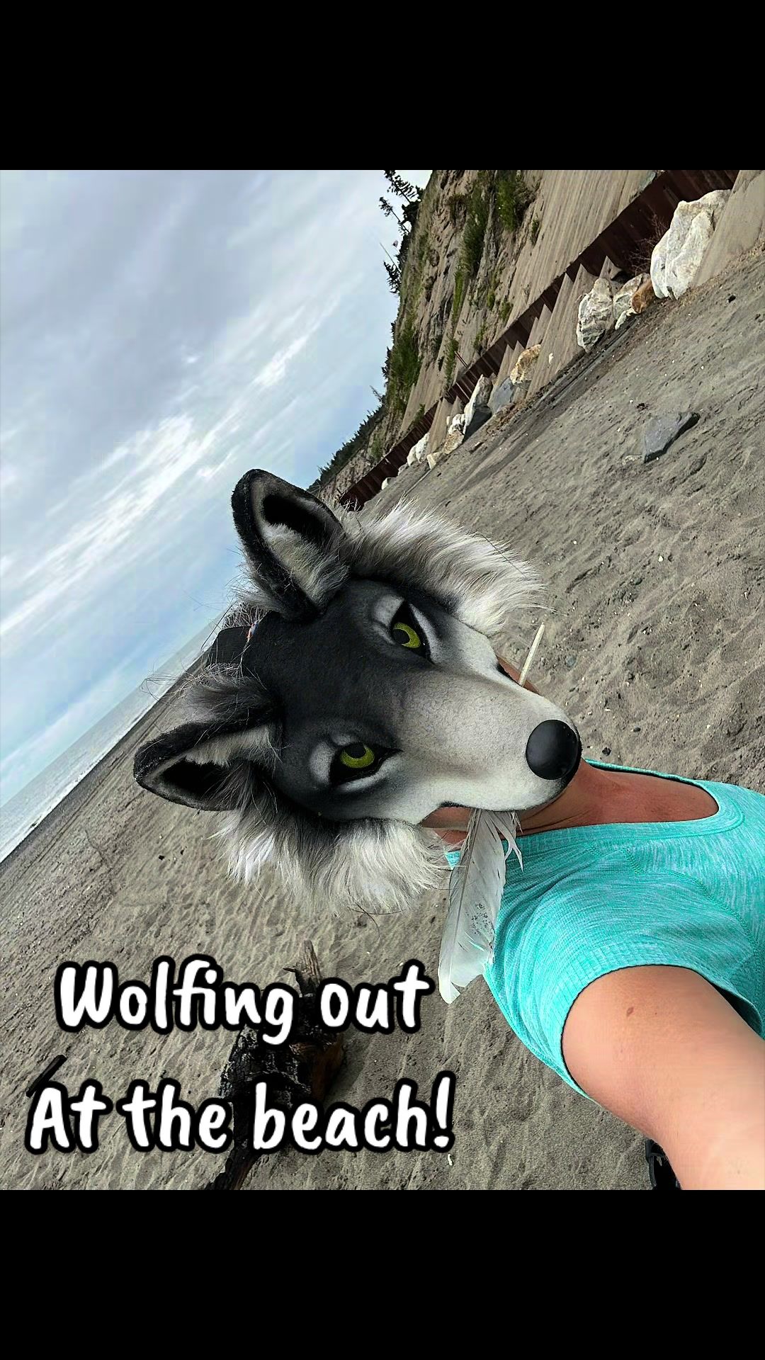 @Kodiak