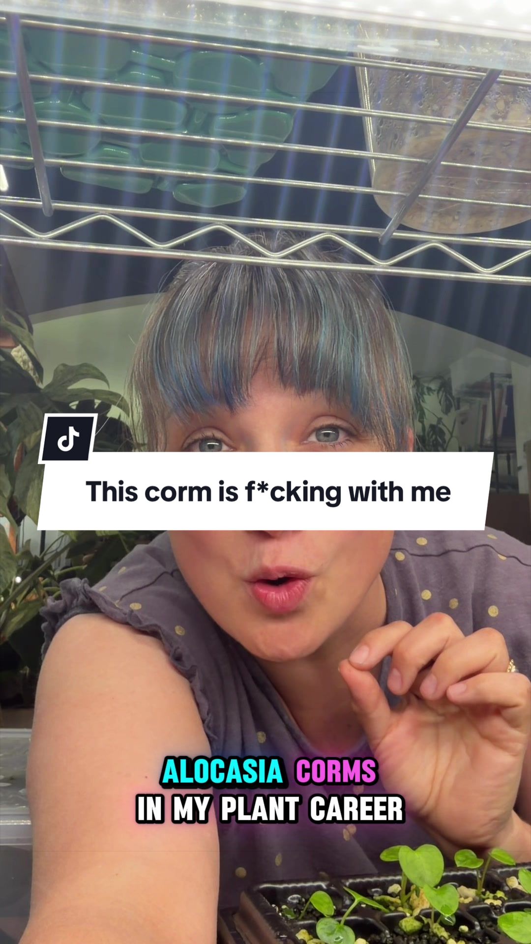 @alltheplantbabies