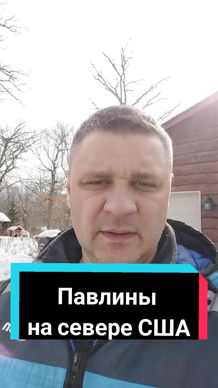 @Viacheslav_Usa
