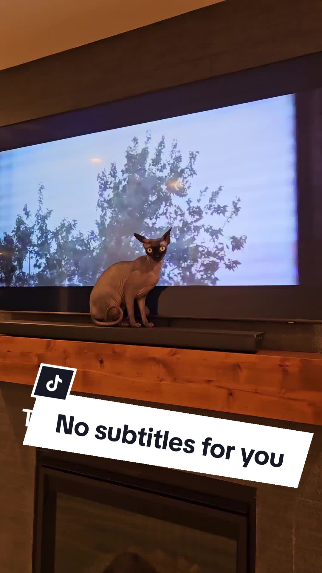 @kyoto.jack.sphynx