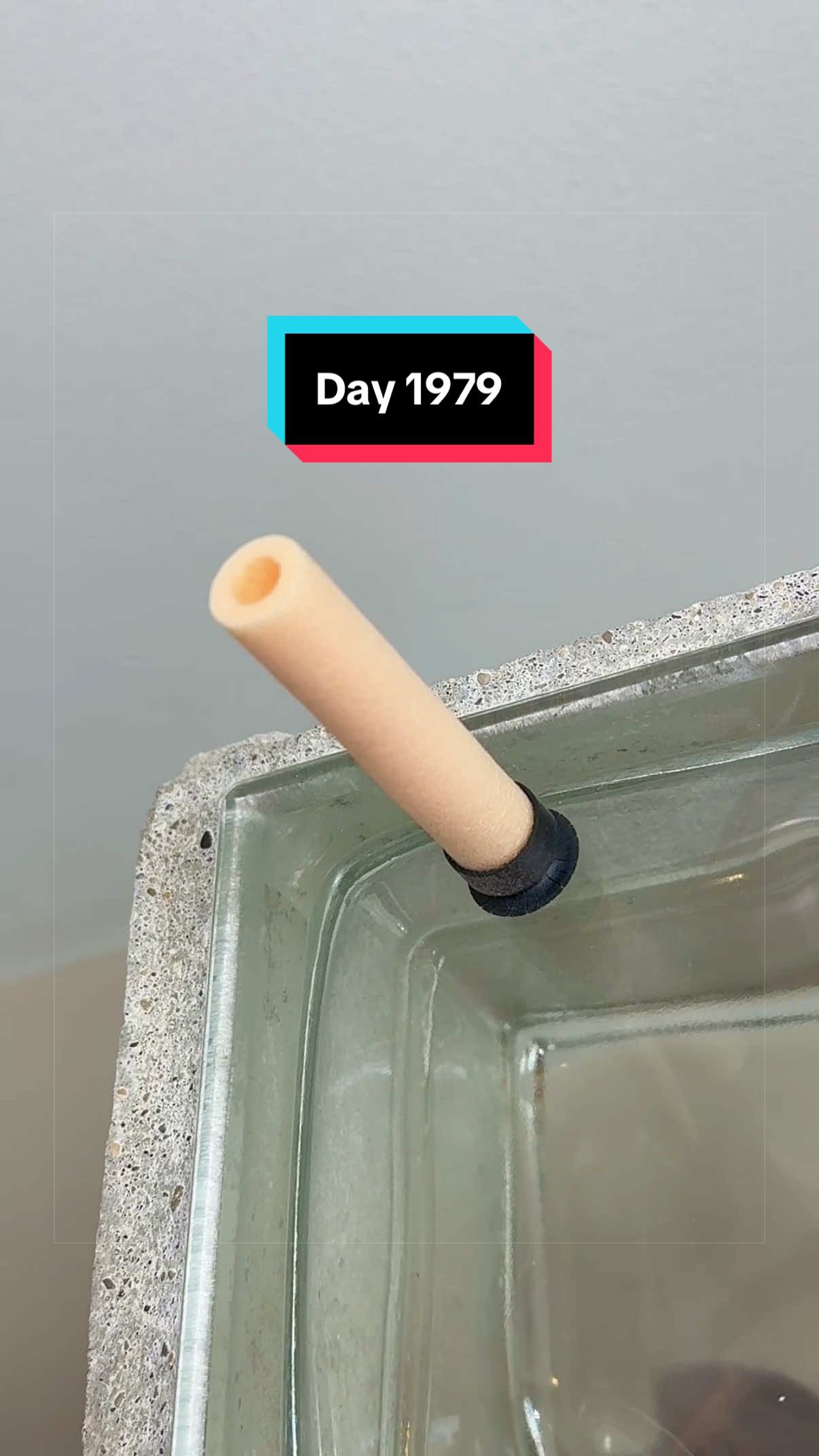 @The Immortal Nerf Dart